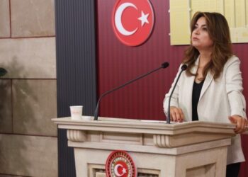 Gülistan Kılıç Koçyiğit: Barış izleme ve takip kurulu oluşturulmalı