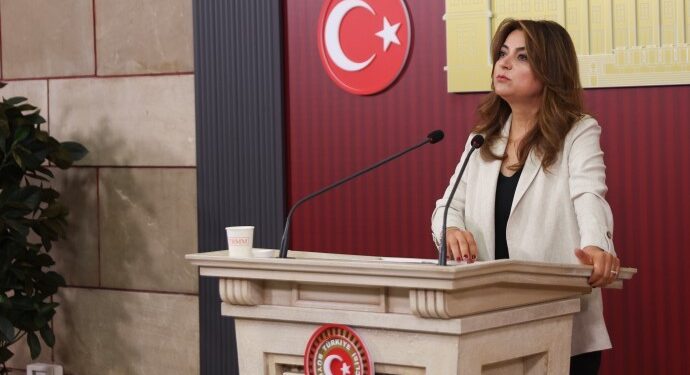 Gülistan Kılıç Koçyiğit: Barış izleme ve takip kurulu oluşturulmalı