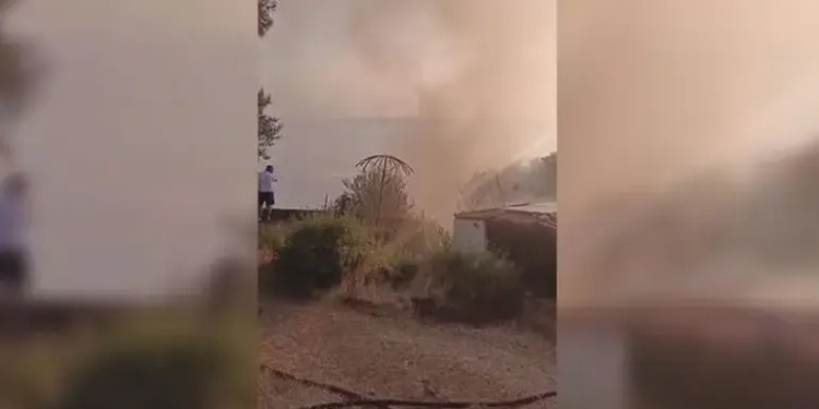 Büyükada’da yangın Büyükada’da yangın