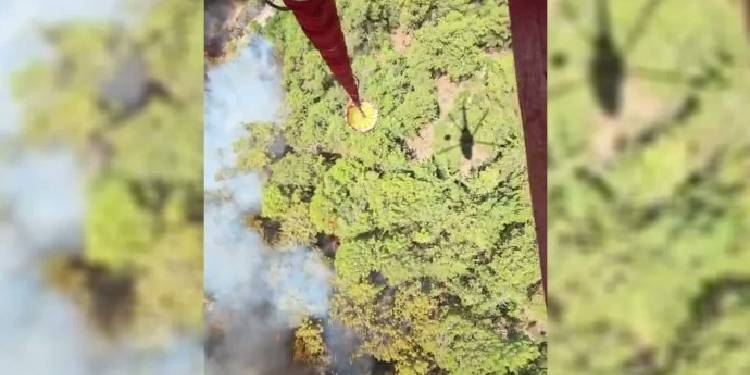 Fethiye’de ormanlık alanda yangın çıktı