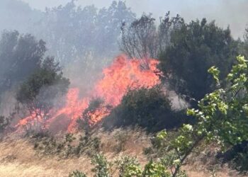Çanakkale’de orman yangını: Ekipler havadan ve karadan müdahale ediyor Çanakkale’de orman yangını: Ekipler havadan ve karadan müdahale ediyor