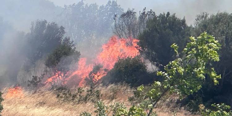 Çanakkale’de orman yangını: Ekipler havadan ve karadan müdahale ediyor Çanakkale’de orman yangını: Ekipler havadan ve karadan müdahale ediyor