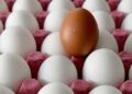 ABD’de 19 milyon yumurta Salmonella riski nedeniyle toplatılıyor ABD’de 19 milyon yumurta Salmonella riski nedeniyle toplatılıyor