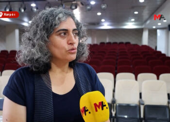 Sebahat Tuncel: Çerçeve yasa Kürt sorununun barışçıl çözümü için kritik bir adım