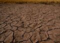 El Nino’nun etkileri devam ediyor: Dünyada nereler nasıl etkileniyor?