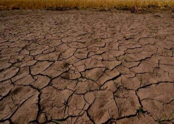 El Nino’nun etkileri devam ediyor: Dünyada nereler nasıl etkileniyor?