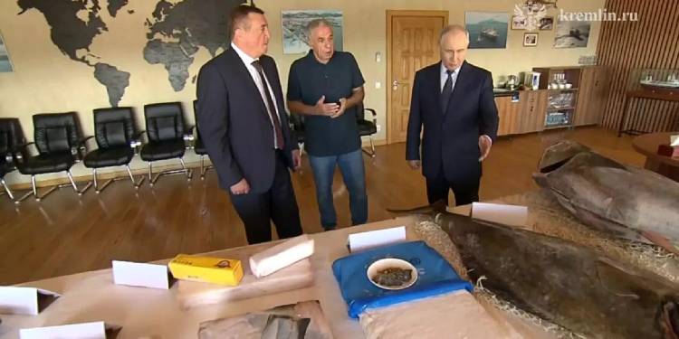 Rusya Devlet Başkanı Putin ilk kez Kuril Adaları’na gitti Rusya Devlet Başkanı Putin ilk kez Kuril Adaları’na gitti