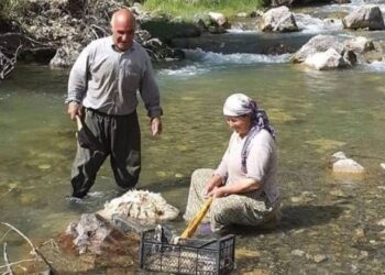 Hürmüz Diril davasında savcı ceza istedi Hürmüz Diril davasında savcı ceza istedi