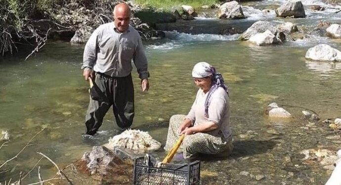 Hürmüz Diril davasında savcı ceza istedi Hürmüz Diril davasında savcı ceza istedi