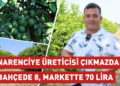 Narenciye üreticisi çıkmazda: Bahçede 8, markette 70 lira