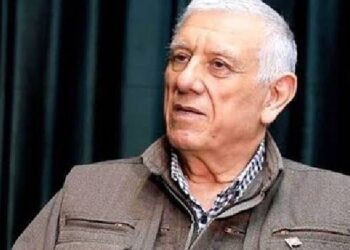 Bayık: İmralı’ya gitmemiz gerekiyor Bayık: İmralı’ya gitmemiz gerekiyor