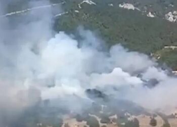Balıkesir’de arazide başlayan yangın ormanlık alana sıçradı: Havadan ve karadan müdahale sürüyor Balıkesir’de arazide başlayan yangın ormanlık alana sıçradı: Havadan ve karadan müdahale sürüyor