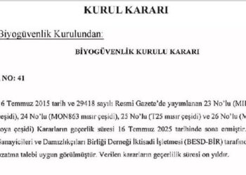 GDO’lu 3 mısır ve 1 soya çeşidinin ithalat izni 10 yıl uzatıldı