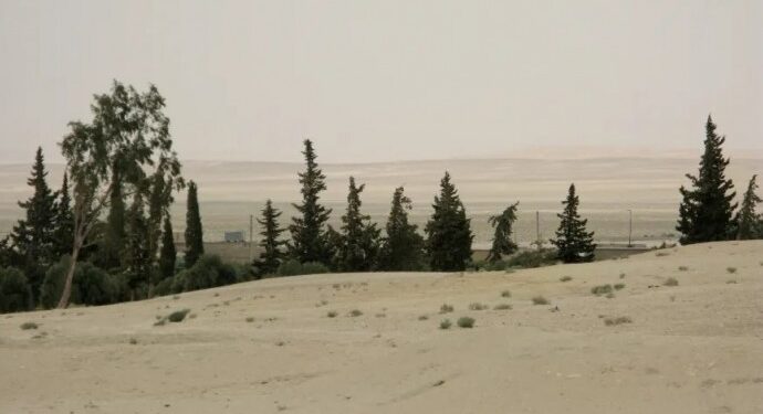 Humus’ta El-Suhne çevresi bombalandı, Quneytra’da İsrail baskını Humus’ta El-Suhne çevresi bombalandı, Quneytra’da İsrail baskını