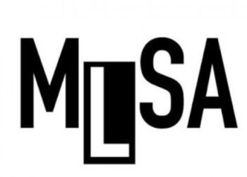 MLSA, X hesabına getirilen erişim engelini AYM’ye taşıdı