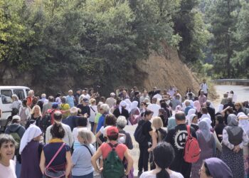 5. Deştin Çevre ve Doğal Yaşam Festivali Başladı