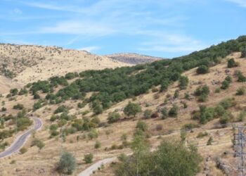 Kızılcahamam uyarısı: Ormanlar ve Ankara’nın içme suyu havzaları tehlikede Kızılcahamam uyarısı: Ormanlar ve Ankara’nın içme suyu havzaları tehlikede