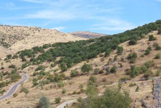 Kızılcahamam uyarısı: Ormanlar ve Ankara’nın içme suyu havzaları tehlikede