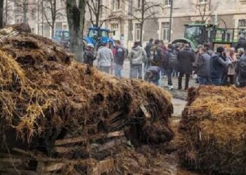 Fransız çiftçilerden vergi dairesine atıklı protesto Fransız çiftçilerden vergi dairesine atıklı protesto