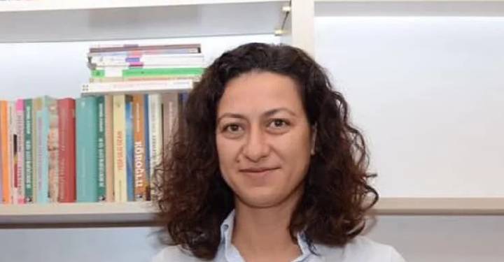 Derya Okatan’ın tutuklanma gerekçesi hard diskteki belgeler oldu Derya Okatan’ın tutuklanma gerekçesi hard diskteki belgeler oldu
