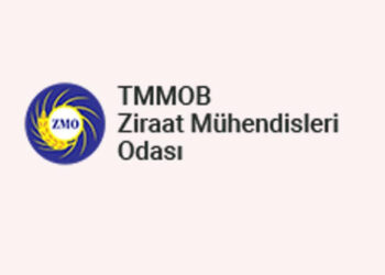 Ziraat Mühendisleri Odası’ndan 2027 bütçesine tepki: Çiftçiye 877 milyar lira eksik destek
